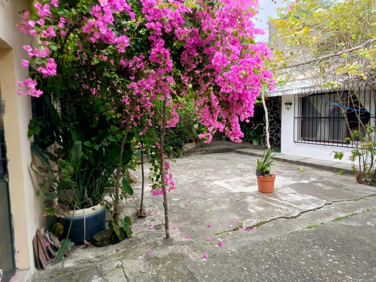 Posada Familiar Papantla Εξωτερικό φωτογραφία
