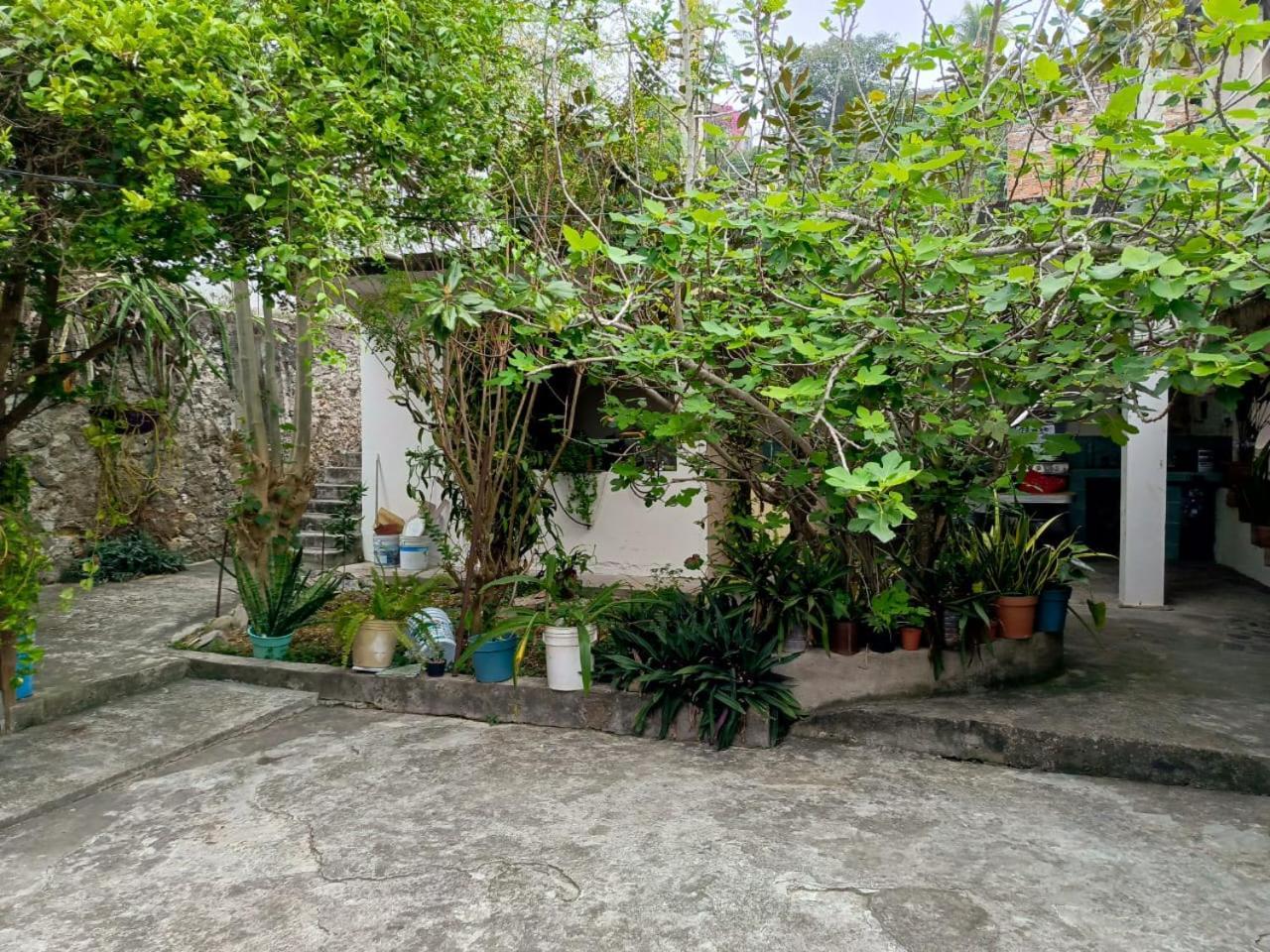 Posada Familiar Papantla Εξωτερικό φωτογραφία